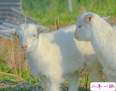 天冷发朋友圈搞笑说说带图片 降温朋友圈最火文案4