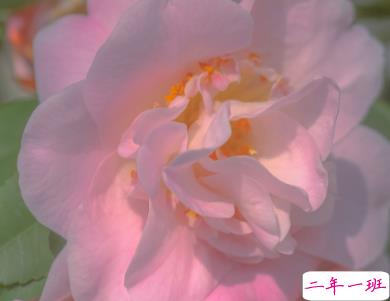 天冷发朋友圈搞笑说说带图片 降温朋友圈最火文案5