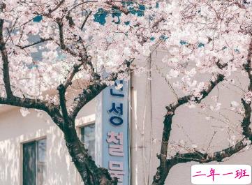 15句爱国的经典语录 爱国一种光荣的义务8