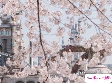 15句爱国的经典语录 爱国一种光荣的义务9