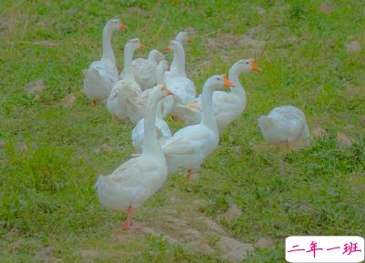 天冷发朋友圈搞笑说说带图片 降温朋友圈最火文案7