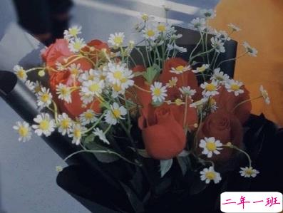 天冷发朋友圈搞笑说说带图片 降温朋友圈最火文案9