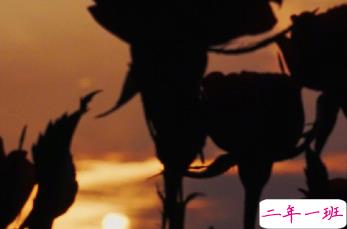 朋友圈内涵语录带图片 不要向对方抱怨同一件事3