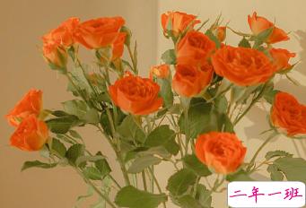 朋友圈内涵语录带图片 不要向对方抱怨同一件事5