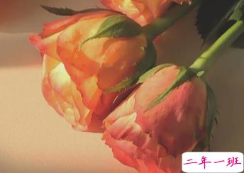 朋友圈内涵语录带图片 不要向对方抱怨同一件事10