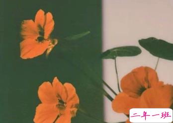 朋友圈内涵语录带图片 不要向对方抱怨同一件事11