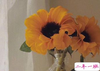 朋友圈内涵语录带图片 不要向对方抱怨同一件事14