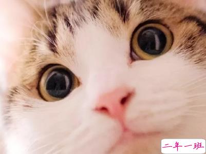 女生可爱说说幽默搞笑配图片 只要肯努力没什么事搞不砸的1