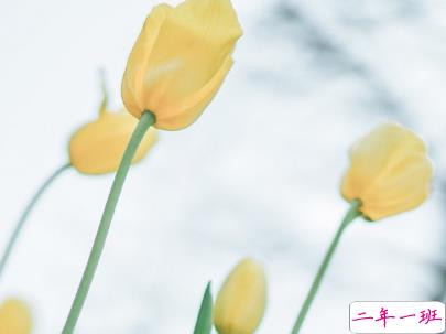 女生可爱说说幽默搞笑配图片 只要肯努力没什么事搞不砸的5