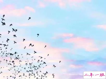 女生可爱说说幽默搞笑配图片 只要肯努力没什么事搞不砸的11