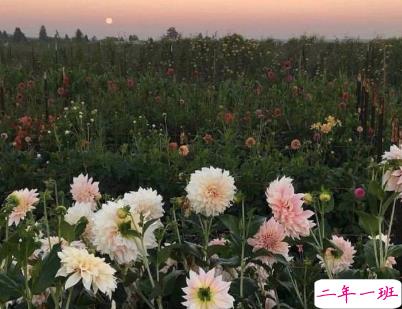 女生可爱说说幽默搞笑配图片 只要肯努力没什么事搞不砸的13