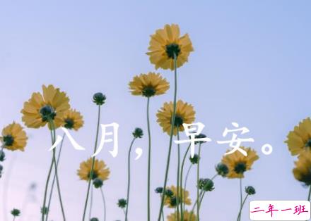 八月第一天经典朋友圈带图片说说 遇见八月遇见所有美好1