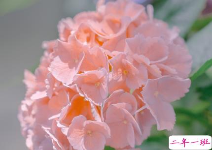 八月第一天经典朋友圈带图片说说 遇见八月遇见所有美好10