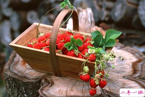 朋友圈晒美食的搞笑说说带图片 关于吃货的说说简短精辟201914