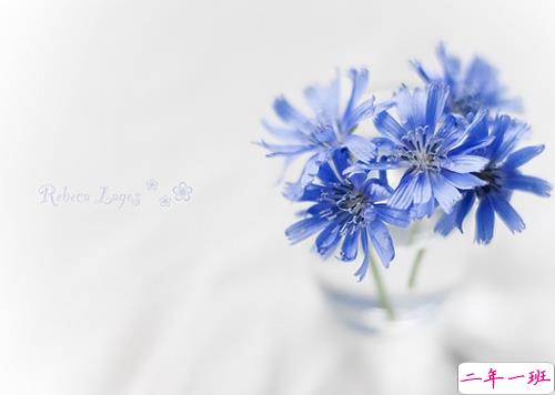 女生发朋友圈可爱搞怪的句子带图片 最新微信搞笑说说大全6