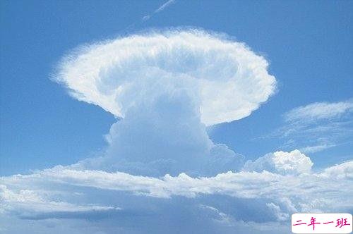 女生发朋友圈可爱搞怪的句子带图片 最新微信搞笑说说大全9