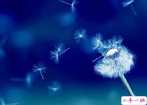 女生发朋友圈可爱搞怪的句子带图片 最新微信搞笑说说大全15