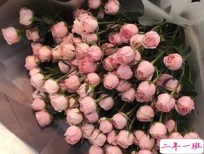 母亲节微信小句子带图片 为妈妈庆祝母亲节的经典说说3