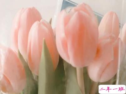 母亲节微信小句子带图片 为妈妈庆祝母亲节的经典说说5