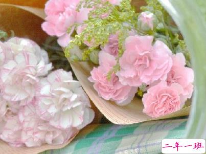 母亲节微信小句子带图片 为妈妈庆祝母亲节的经典说说6