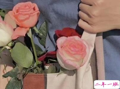 母亲节微信小句子带图片 为妈妈庆祝母亲节的经典说说9