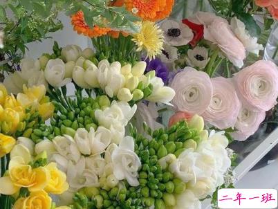 母亲节微信小句子带图片 为妈妈庆祝母亲节的经典说说10