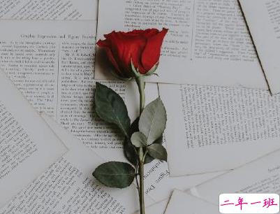 母亲节微信小句子带图片 为妈妈庆祝母亲节的经典说说15