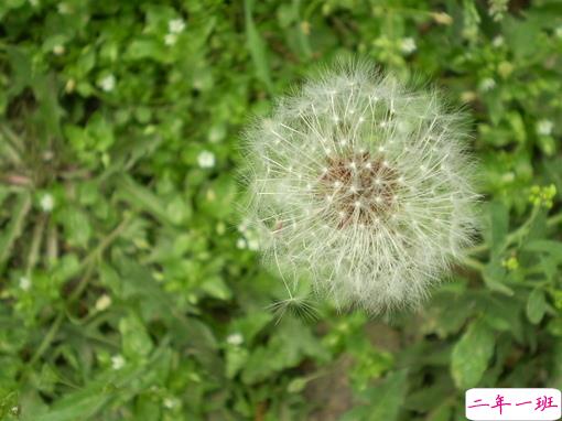 抖音上最搞笑的有趣的句子带图片 能让你笑掉牙的搞笑说说合集13