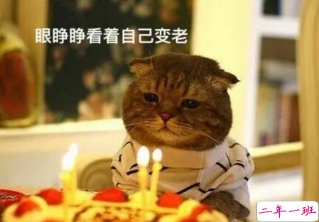 祝自己生日快乐的话搞笑图片 发朋友圈表达自己生日搞笑个性说说20189