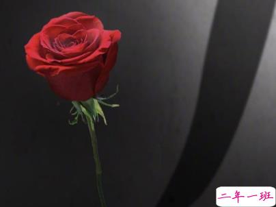 人生感悟经典句子带图片 一生收益的经典说说13