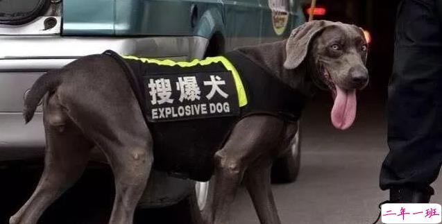 超搞笑的英语翻译/中式翻译说说带图片3