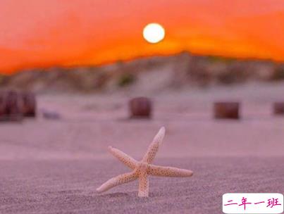 朋友圈治愈系暖心说说带图片 简短经典温暖句子精选1