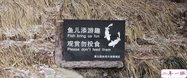 超搞笑的英语翻译/中式翻译说说带图片6