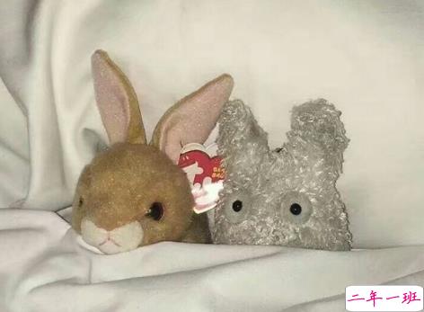 学生党有趣图片带搞笑个性说说 你体验过暴瘦的滋味吗1