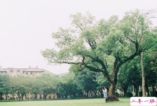 大学生必看的搞笑暖心情话 不同系别的学霸怎么表白2