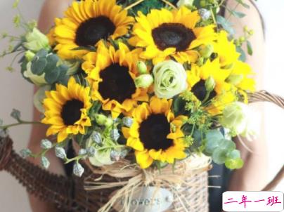 朋友圈治愈系暖心说说带图片 简短经典温暖句子精选6