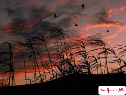 网络热门经典说说句子配图 一句话经典说说带图片7