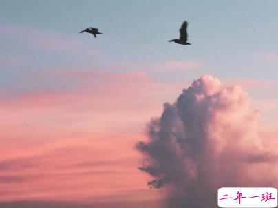 2019十一月早安问候语带图片 最新11月你好早安句子3