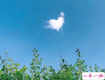 2019十一月早安问候语带图片 最新11月你好早安句子4