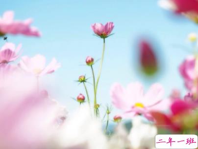 朋友圈治愈系暖心说说带图片 简短经典温暖句子精选9