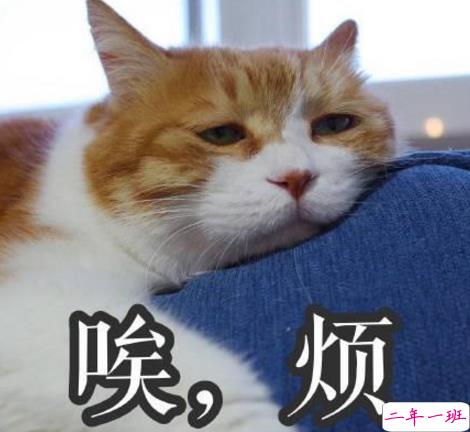 学生党有趣图片带搞笑个性说说 你体验过暴瘦的滋味吗6