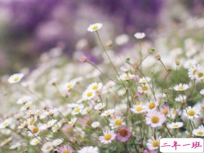 朋友圈治愈系暖心说说带图片 简短经典温暖句子精选13