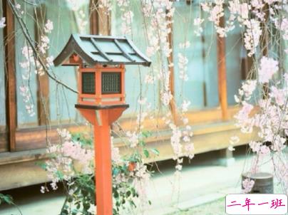 朋友圈治愈系暖心说说带图片 简短经典温暖句子精选15