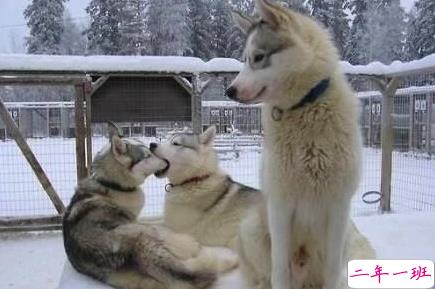 很有内涵的搞笑说说图片最新版 有意思的内涵段子说说1