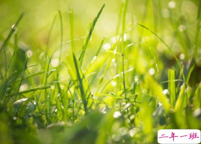 最新早安激励语配图 朋友圈早安说说简短经典 2