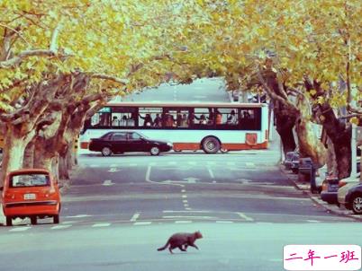 最新早安激励语配图 朋友圈早安说说简短经典 8