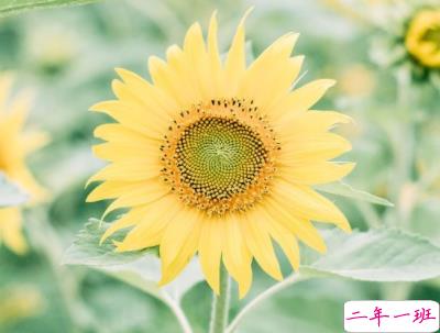 微信朋友圈早安问候语经典 早安全世界的说说5