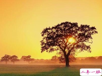 微信朋友圈早安问候语经典 早安全世界的说说6