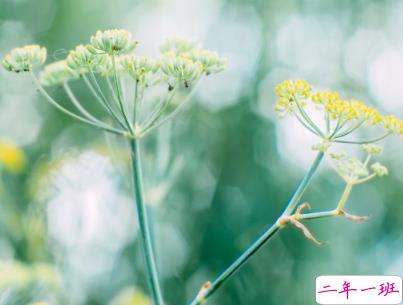 微信朋友圈早安问候语经典 早安全世界的说说9