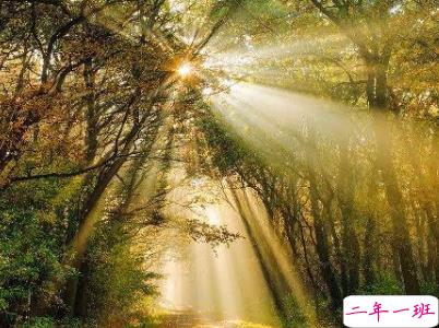 微信朋友圈早安问候语经典 早安全世界的说说10